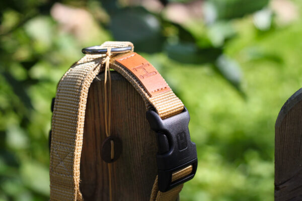 Hundesele | Guld - Image 3