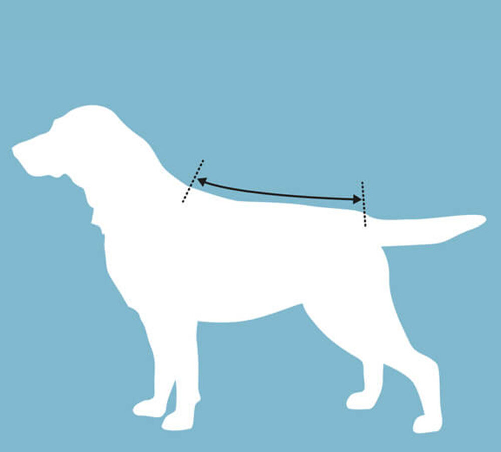 Canelana dækken - THERMO - Image 12