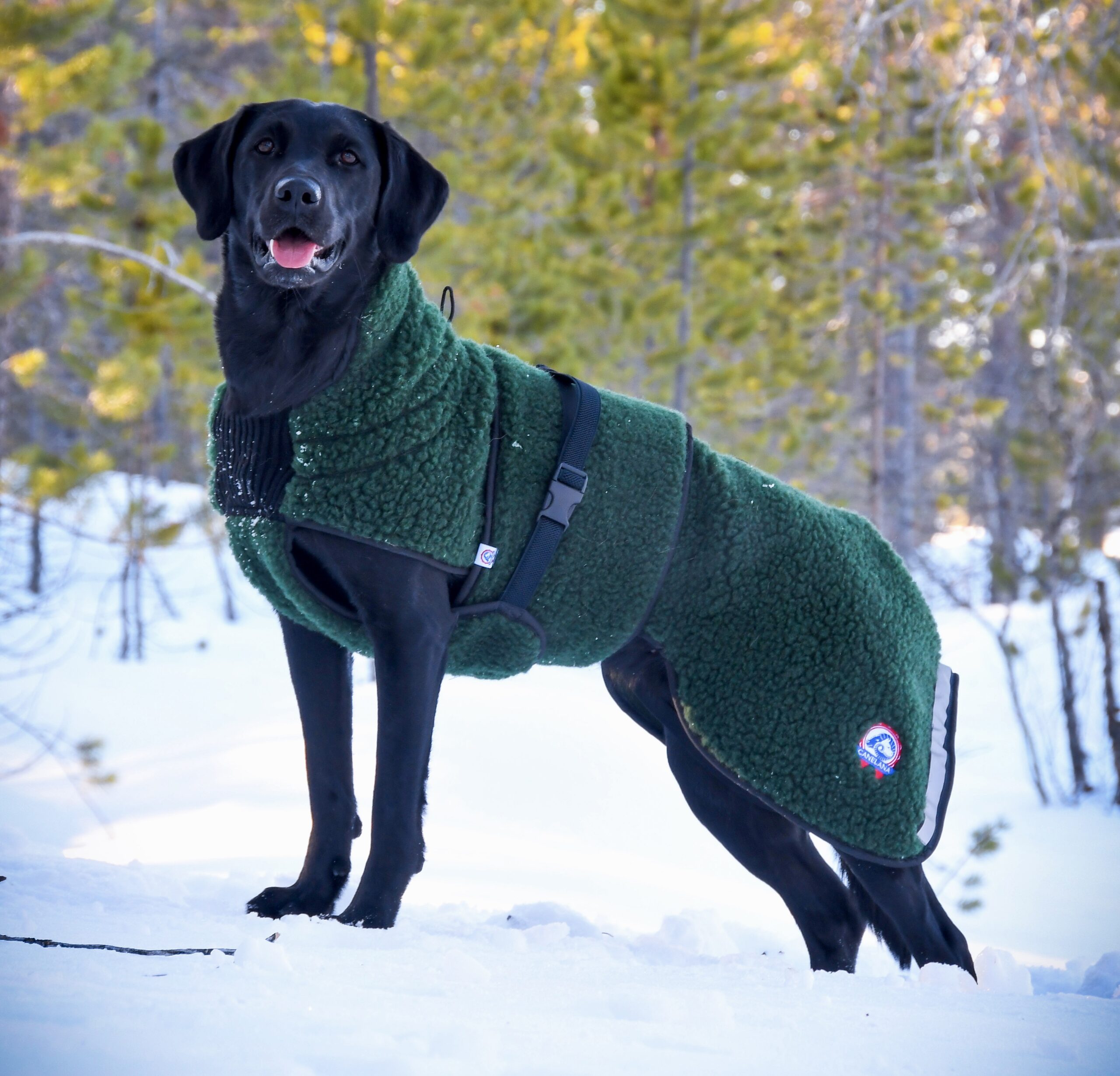 AMBASSADØR – Ulddækken - Image 3