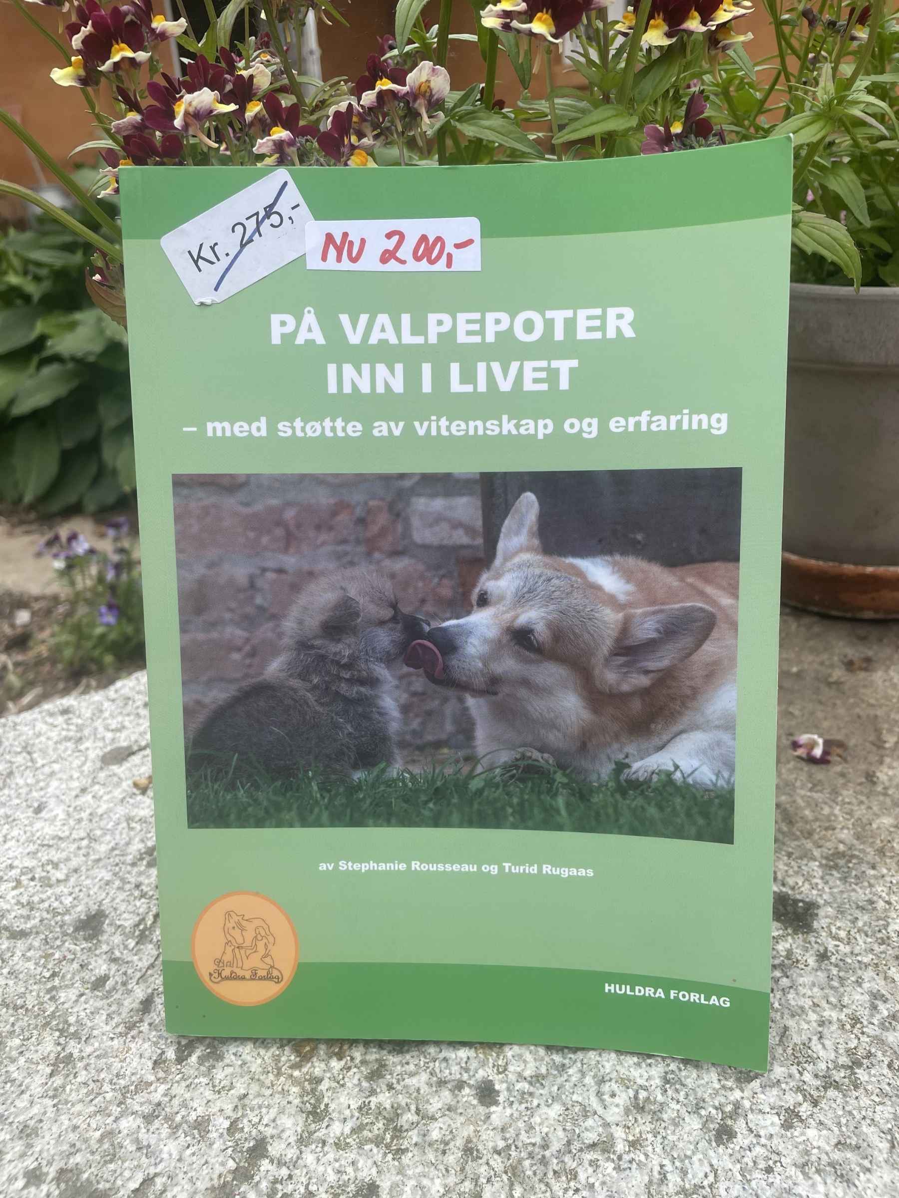 på valpepoter inn i livet